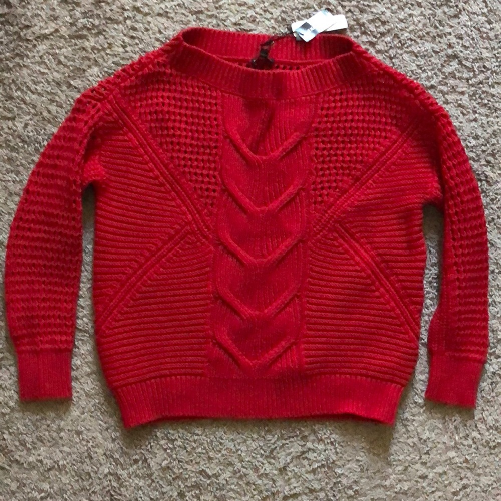 Express Chunky Sweater